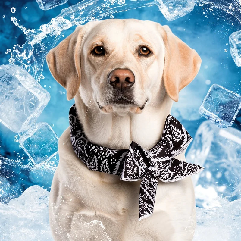 Summer Pet Ice Collar Cooling Scarf Breathable Cartoon Design Heat Relief for Outdoor Travel Beach Hiking with Dogs Cats