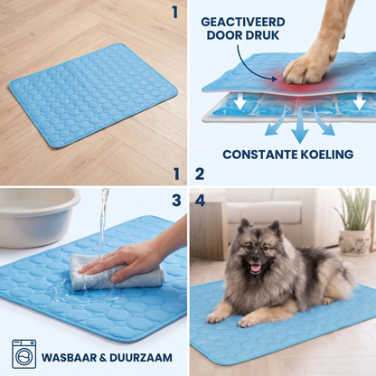 FrostPaw 2.0 - Instant Relief From Summer Heat